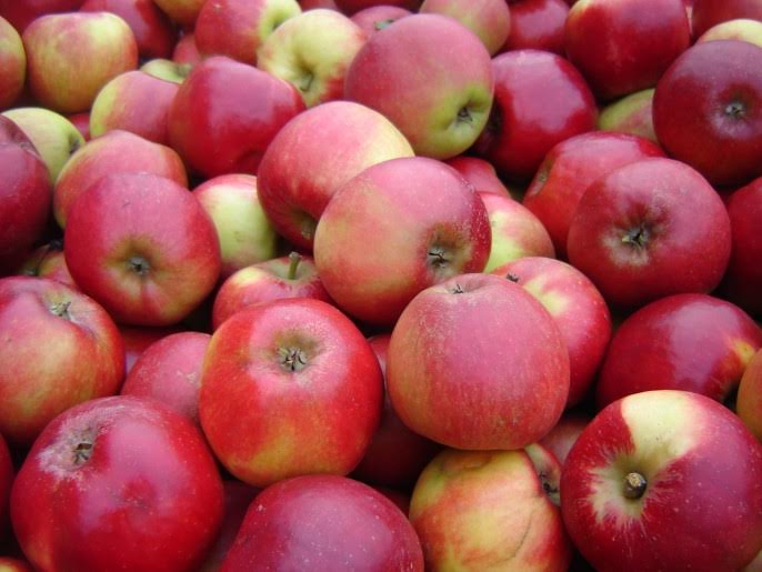 Appels - Red apples